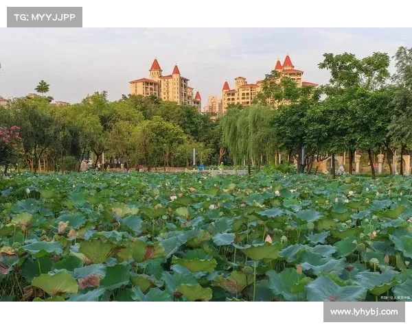 深圳夜跑热潮席卷城市 城市灯光跑道将全面升级扩建 深圳夜跑热潮席卷城市 城市灯光跑道将全面升级扩建